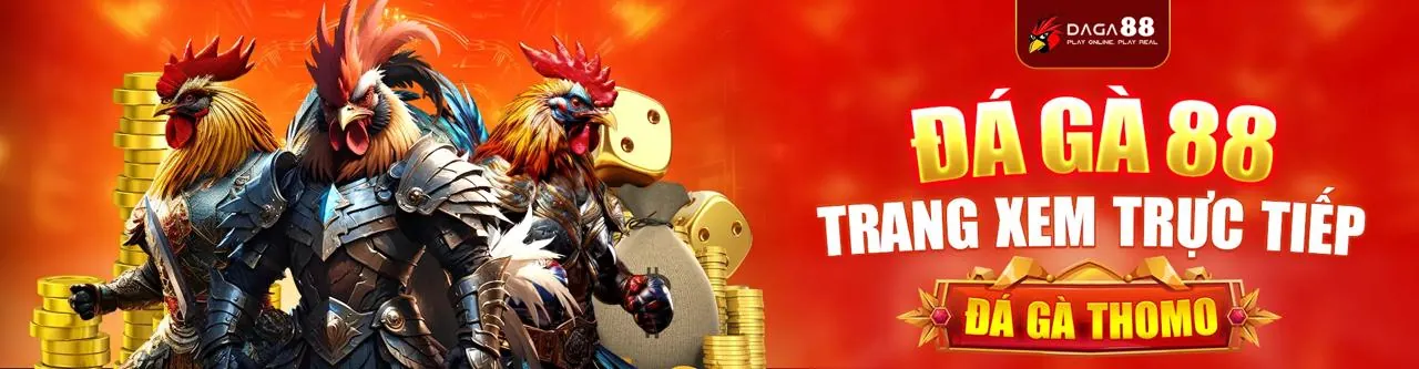 Đá gà trực tuyến kịch tính tại ok89 nhà cái